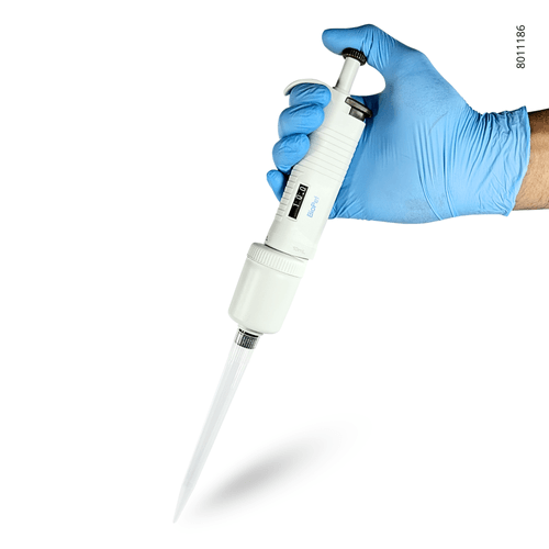 8011186 -2- 8011186 -2-